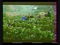 Класически френски: отвличането на сабинянките (1976)