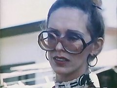 Шибан метаморфоза