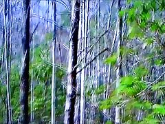 Злото история