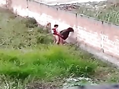 Кучката дава cu на avenida brasil