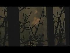 През прозореца