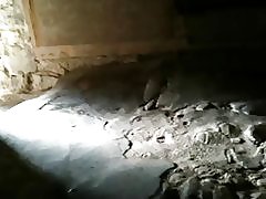 Флаш момичета музей