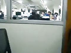 Библиотека свирене от loyalsock