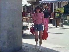 Датски реколта