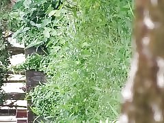 Шри Ланка открит двойка в Парламента ходене песен