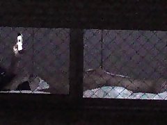 Прозорец воайор, 64 на 1000