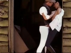 Мис стандарти