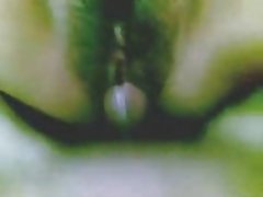 Непалски двойка хубаво шибан