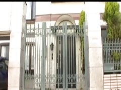 Палави вдовица 1-от packmans